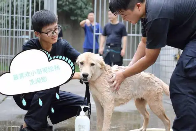 如何利用反馈制定个性化的篮球训练计划_0